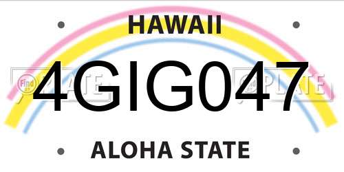 4GIG047 Hawaii License Plate