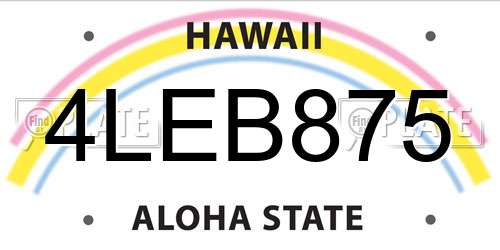 4LEB875 Hawaii License Plate
