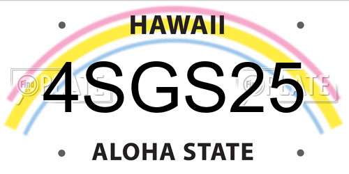 4SGS25 Hawaii License Plate