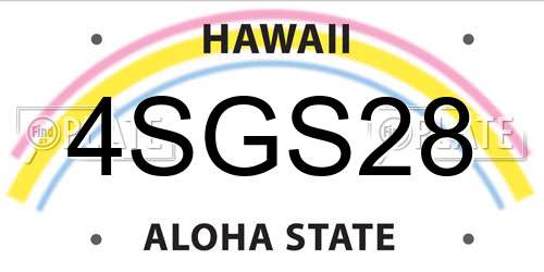 4SGS28 Hawaii License Plate