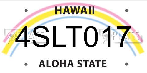 4SLT017 Hawaii License Plate