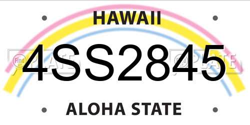 4SS2845 Hawaii License Plate