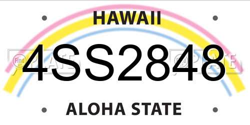 4SS2848 Hawaii License Plate
