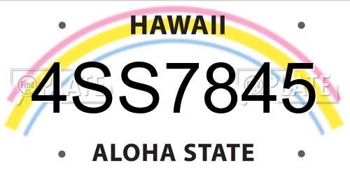 4SS7845 Hawaii License Plate