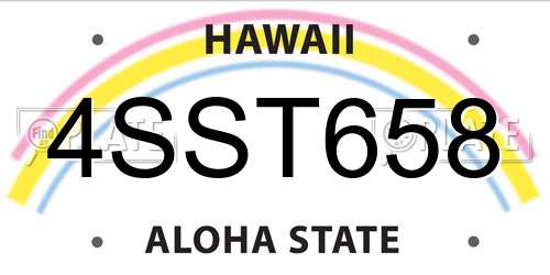 4SST658 Hawaii License Plate