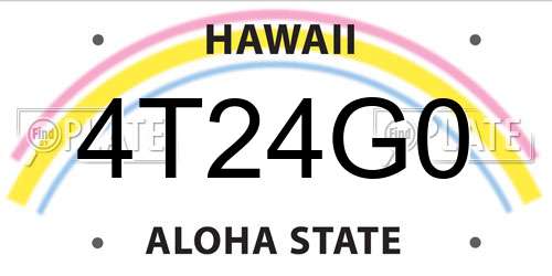 4T24G0 Hawaii License Plate