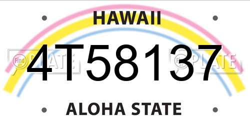4T58137 Hawaii License Plate