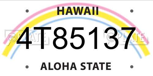 4T85137 Hawaii License Plate