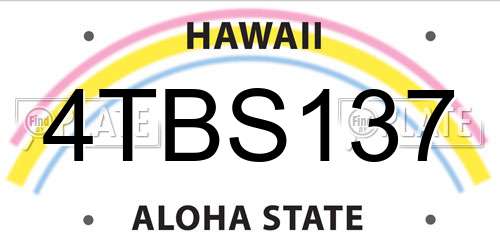 4TBS137 Hawaii License Plate