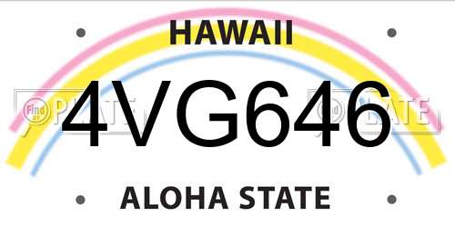 4VG646 Hawaii License Plate