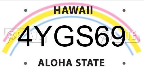 4YGS69 Hawaii License Plate