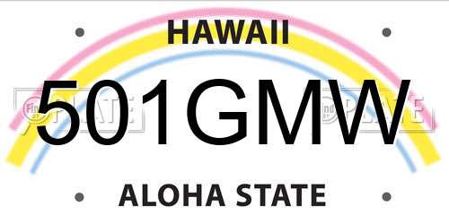 501GMW Hawaii License Plate