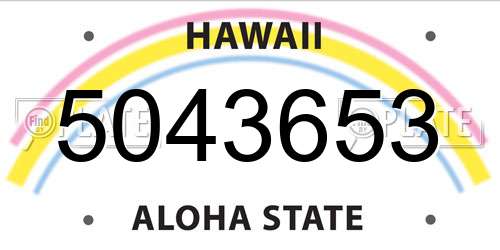 5043653 Hawaii License Plate