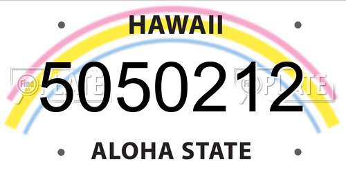 5050212 Hawaii License Plate