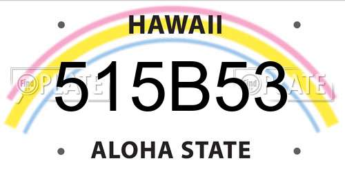 515B53 Hawaii License Plate