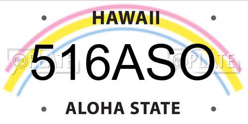 516ASO Hawaii License Plate