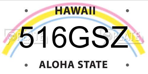 516GSZ Hawaii License Plate