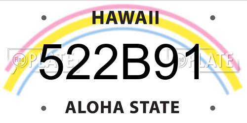 522B91 Hawaii License Plate