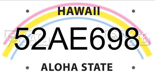 52AE698 Hawaii License Plate