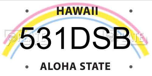 531DSB Hawaii License Plate