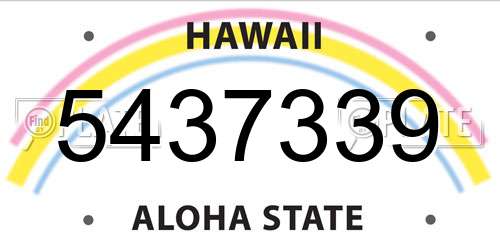 5437339 Hawaii License Plate