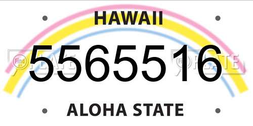 5565516 Hawaii License Plate
