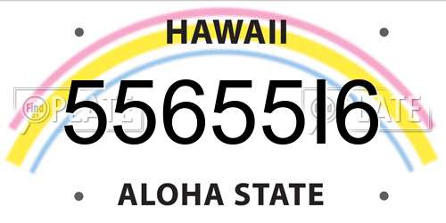 55655I6 Hawaii License Plate