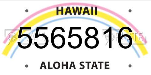 5565816 Hawaii License Plate