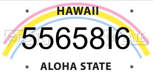 55658I6 Hawaii License Plate