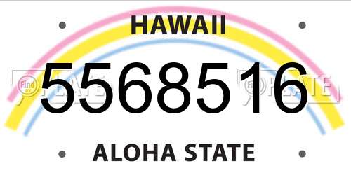 5568516 Hawaii License Plate