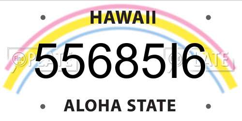 55685I6 Hawaii License Plate