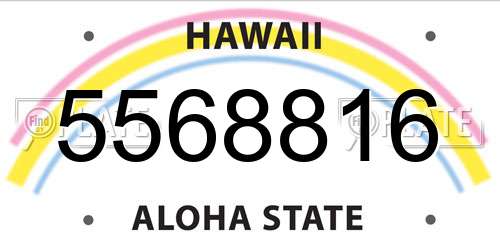 5568816 Hawaii License Plate