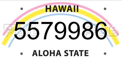 5579986 Hawaii License Plate