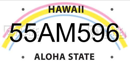 55AM596 Hawaii License Plate