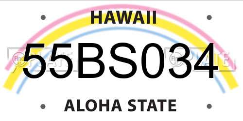 55BS034 Hawaii License Plate