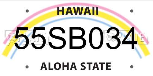 55SB034 Hawaii License Plate