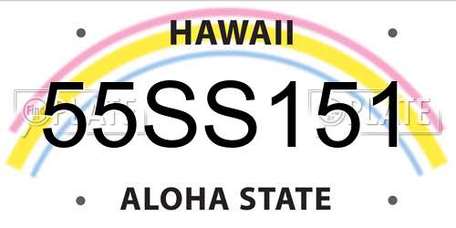 55SS151 Hawaii License Plate