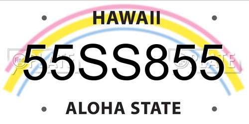 55SS855 Hawaii License Plate
