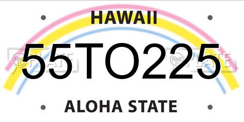 55TO225 Hawaii License Plate