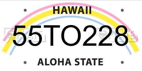 55TO228 Hawaii License Plate