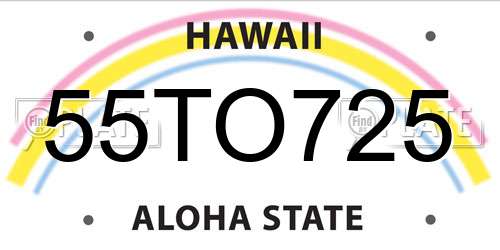 55TO725 Hawaii License Plate