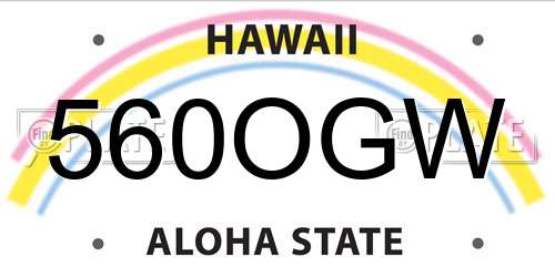 560OGW Hawaii License Plate