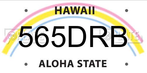 565DRB Hawaii License Plate