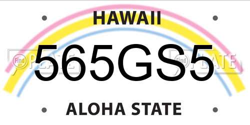 565GS5 Hawaii License Plate