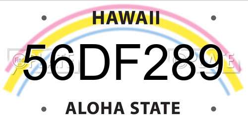 56DF289 Hawaii License Plate