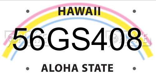 56GS408 Hawaii License Plate