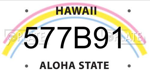 577B91 Hawaii License Plate