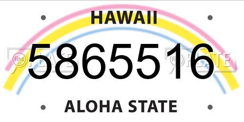 5865516 Hawaii License Plate