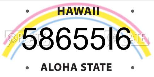 58655I6 Hawaii License Plate