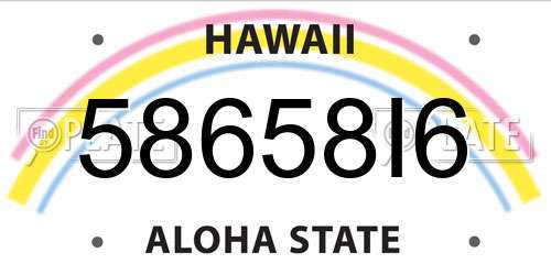 58658I6 Hawaii License Plate
